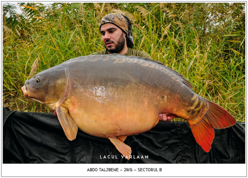 Abdo Taljbene - 21kg, Sectorul B.jpg