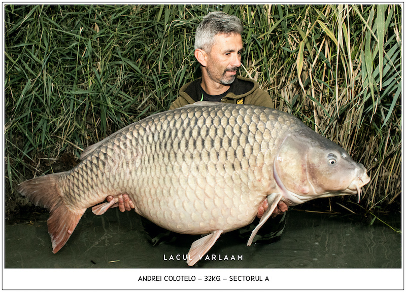 Andrei Colotelo - 32kg, Sectorul A.jpg