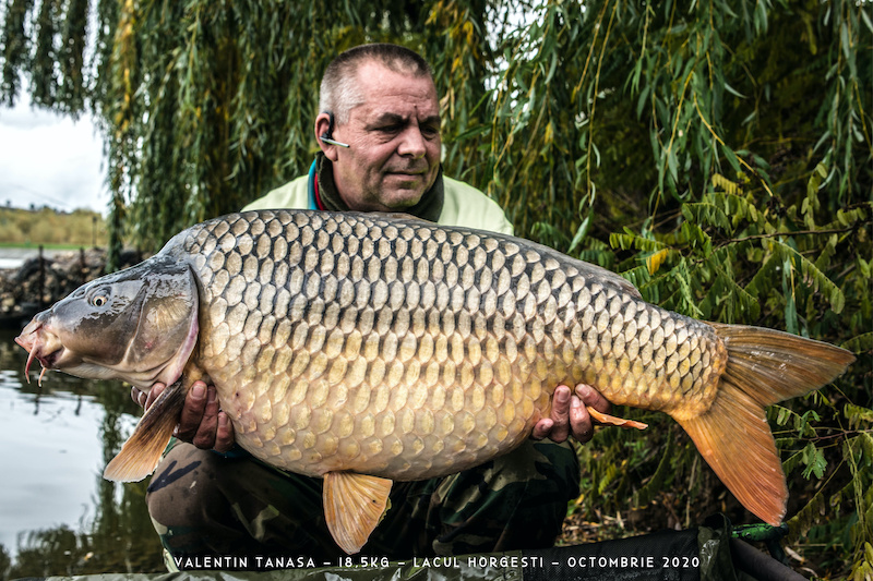 Valentin Tanasa - 18,5kg.jpg