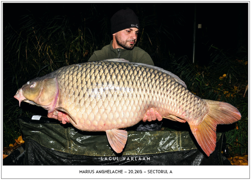 Marius Anghelache - 20,2kg, Sectorul A.jpg