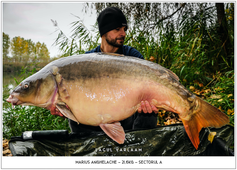 Marius Anghelache - 21,6kg, Sectorul A.jpg