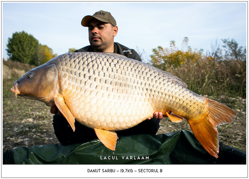 Danut Sarbu - 19,7kg, Sectorul B.jpg