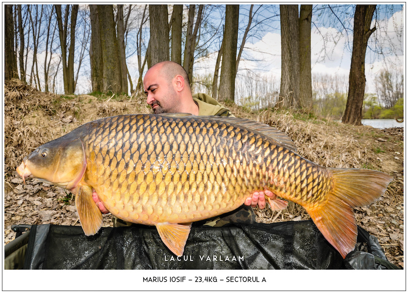 Marius Iosif - 23,4kg, Sectorul A.jpg