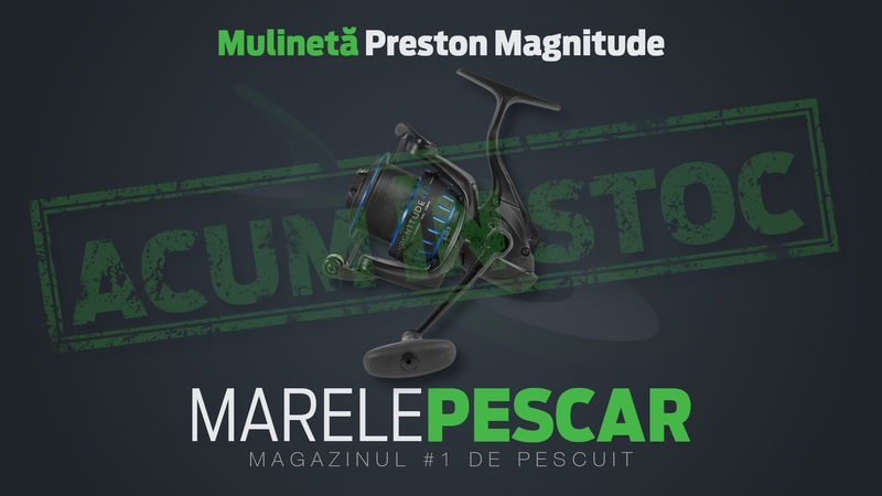 Mulineta-Preston-Magnitude-acum-in-stoc.jpg