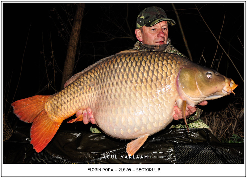 Florin Popa - 21,6kg, Sectorul B.jpg