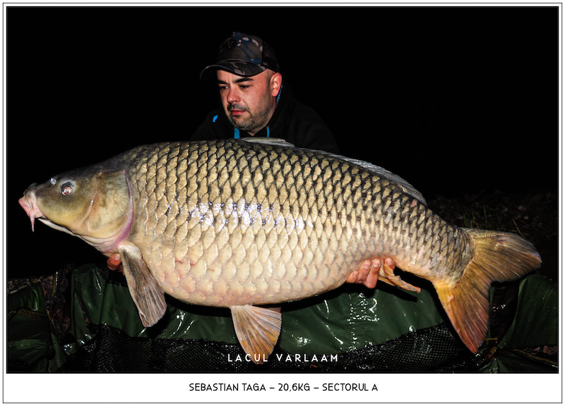 Sebastian Taga - 20,6kg, Sectorul A.jpg