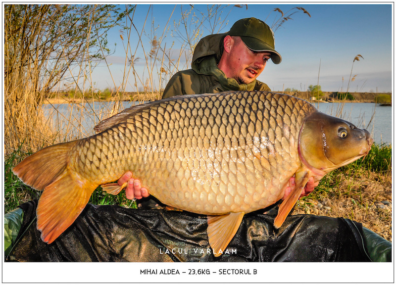 Mihai Aldea - 23,6kg, Sectorul B.jpg