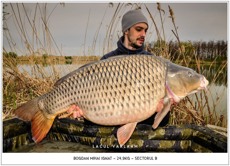 Bogdan Mihai Ignat - 24,6kg, Sectorul B.jpg