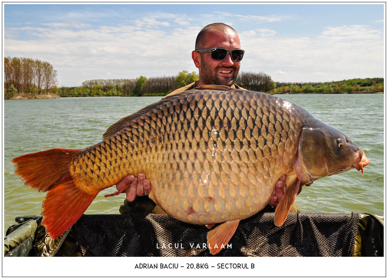 Adrian Baciu - 20,8kg, Sectorul B.jpg