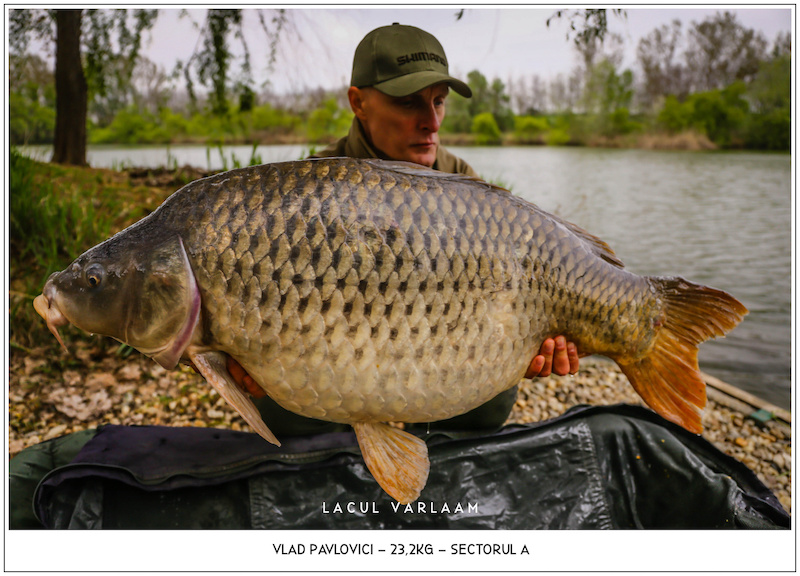 Vlad Pavlovici - 23,2kg, Sectorul A.jpg