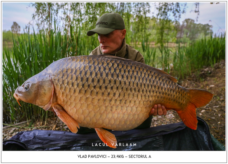 Vlad Pavlovici - 23,4kg, Sectorul A.jpg