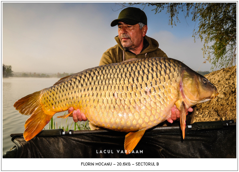 Florin Mocanu - 20,6kg, Sectorul B.jpg