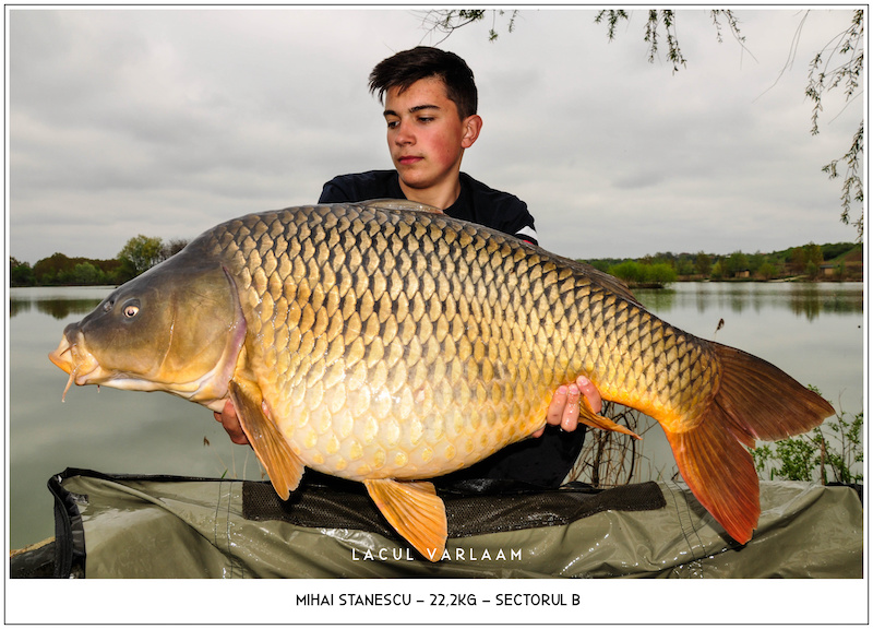 Mihai Stanescu - 22,2kg, Sectorul B.jpg