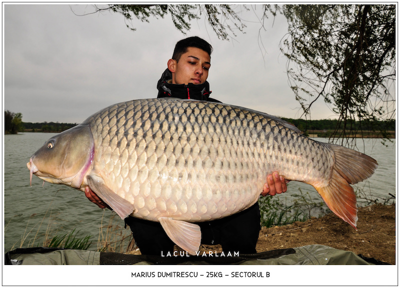 Marius Dumitrescu - 25kg, Sectorul B.jpg