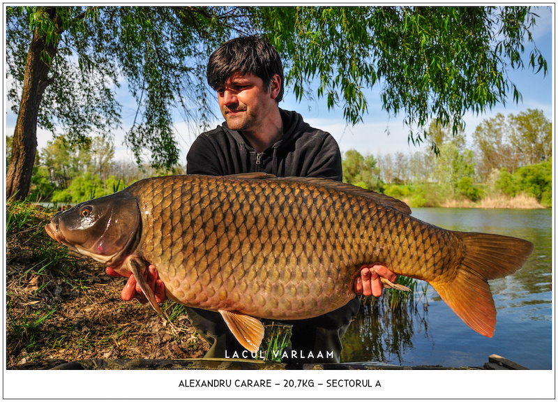 Alexandru Carare - 20,7kg, Sectorul A.jpg