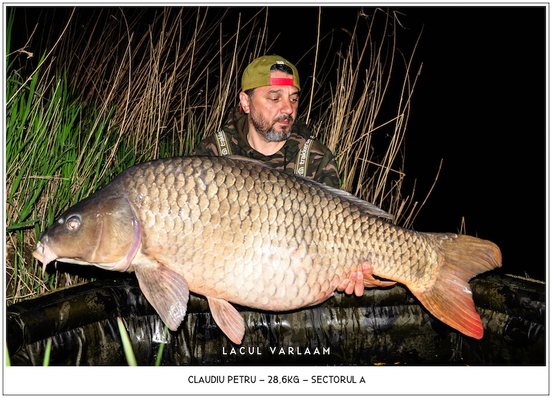 Claudiu Petru - 28,6kg, Sectorul A.jpg