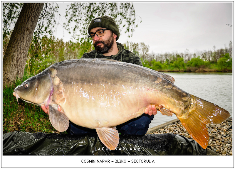 Cosmin Napar - 21,2kg, Sectorul A.jpg