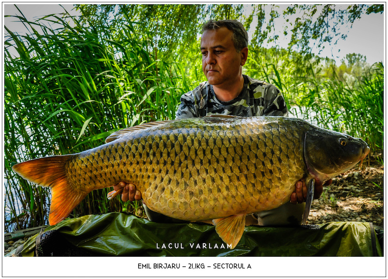 Emil Birjaru - 21,1kg, Sectorul A.jpg