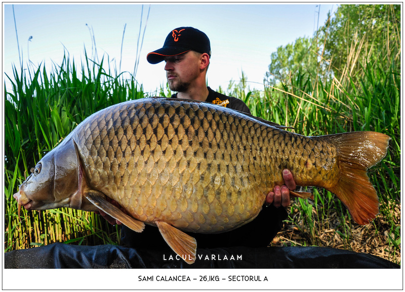 Sami Calancea - 26,1kg, Sectorul A.jpg