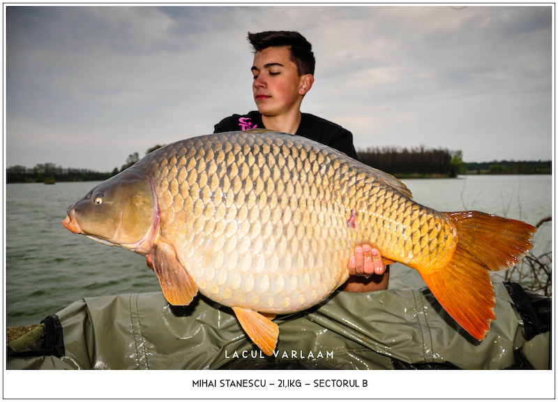 Mihai Stanescu - 21,1kg, Sectorul B.jpg