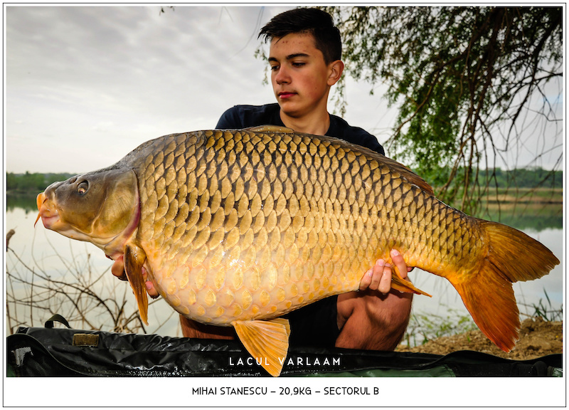 Mihai Stanescu - 20,9kg, Sectorul B.jpg