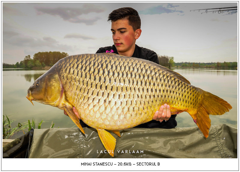 Mihai Stanescu - 20,6kg, Sectorul B.jpg