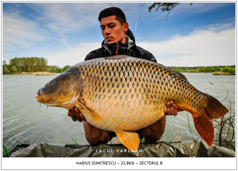 Marius Dumitrescu - 22,8kg, Sectorul B.jpg