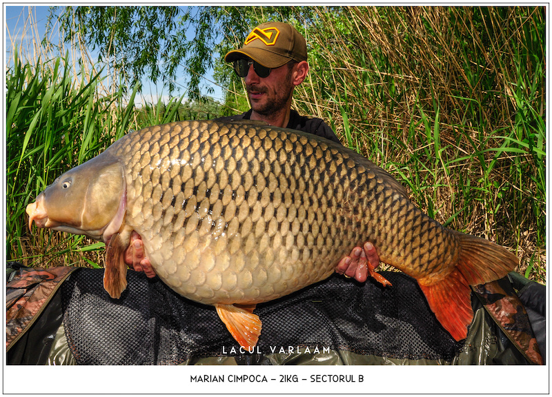 Marian Cimpoca - 21kg, Sectorul B.jpg