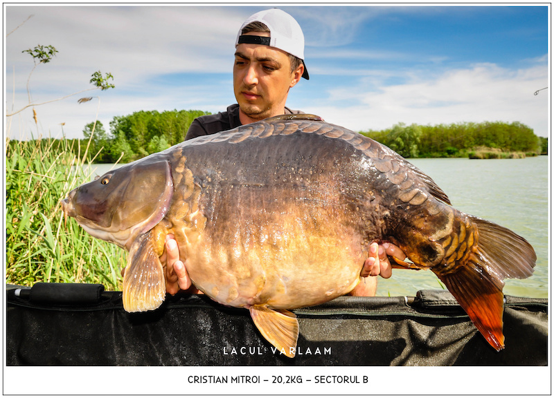 Cristian Mitroi - 20,2kg, Sectorul B.jpg