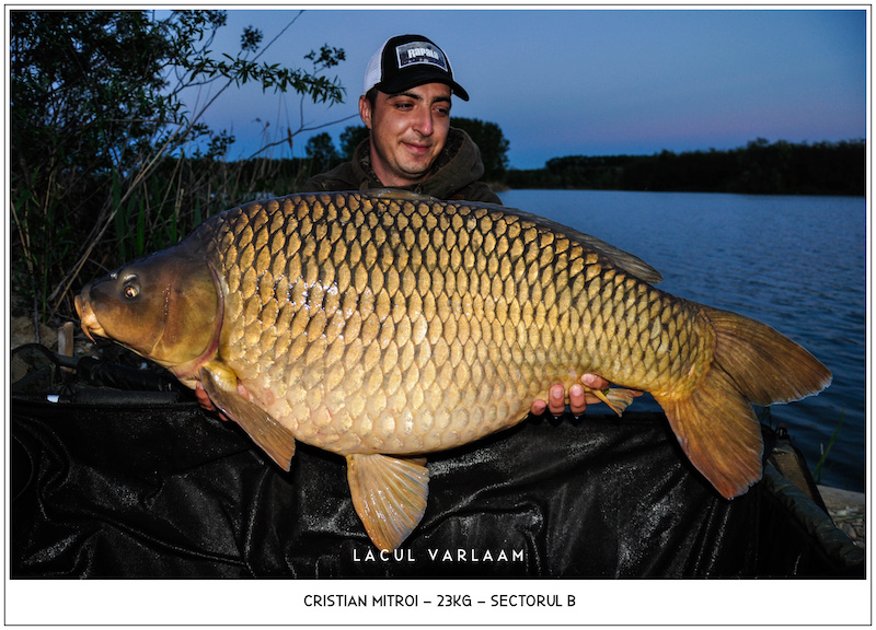 Cristian Mitroi - 23kg, Sectorul B.jpg