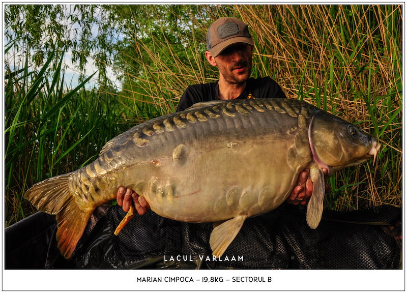 Marian Cimpoca - 19,8kg, Sectorul B.jpg