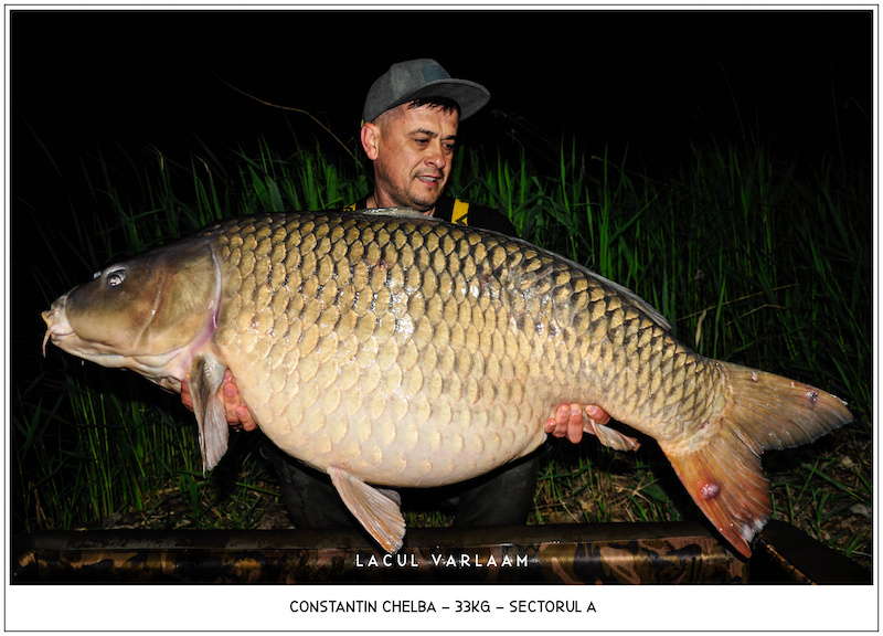 Constantin Chelba - 33kg, Sectorul A.jpg