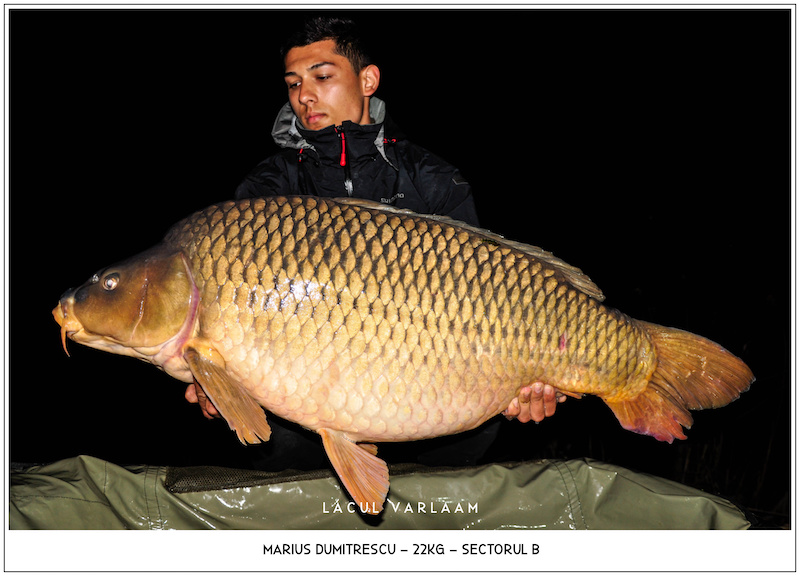 Marius Dumitrescu - 22kg, Sectorul B.jpg