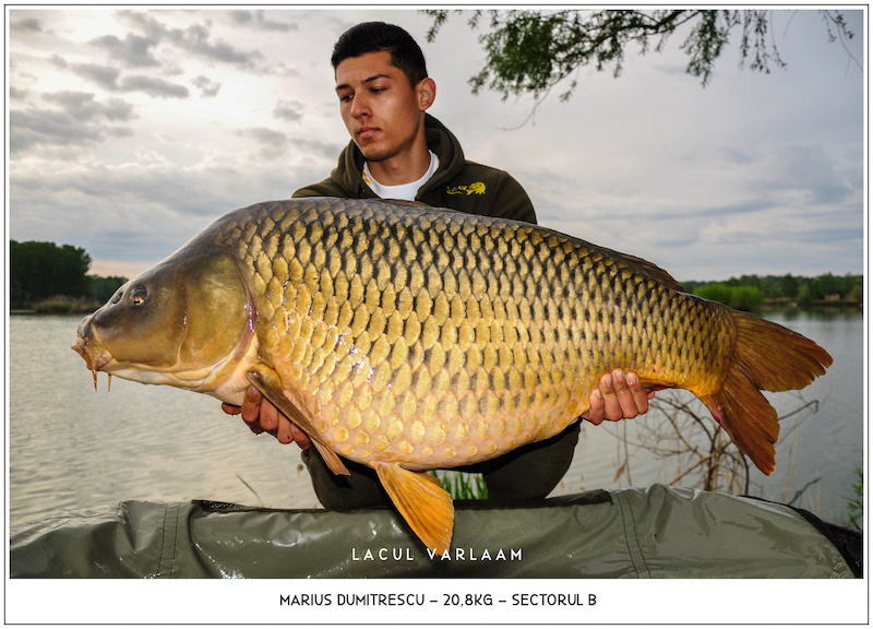 Marius Dumitrescu - 20,8kg, Sectorul B.jpg