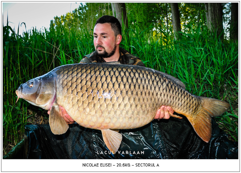 Nicolae Elisei - 20,6kg, Sectorul A.jpg