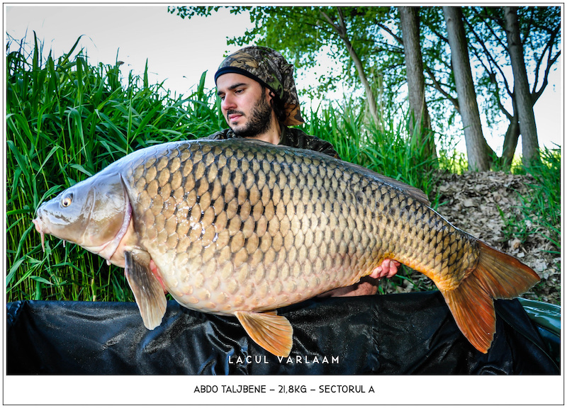 Abdo Taljbene - 21,8kg, Sectorul A.jpg