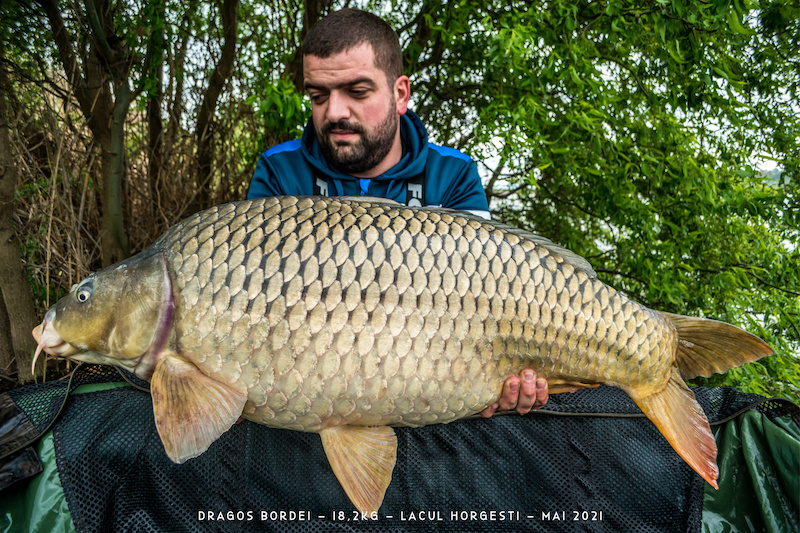 Dragos Bordei - 18,2kg.jpg