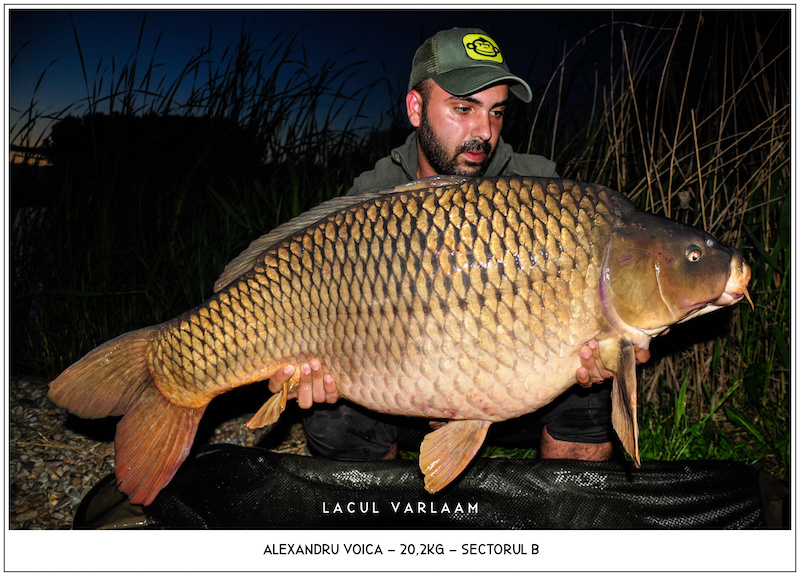 Alexandru Voica - 20,2kg, Sectorul B.jpg