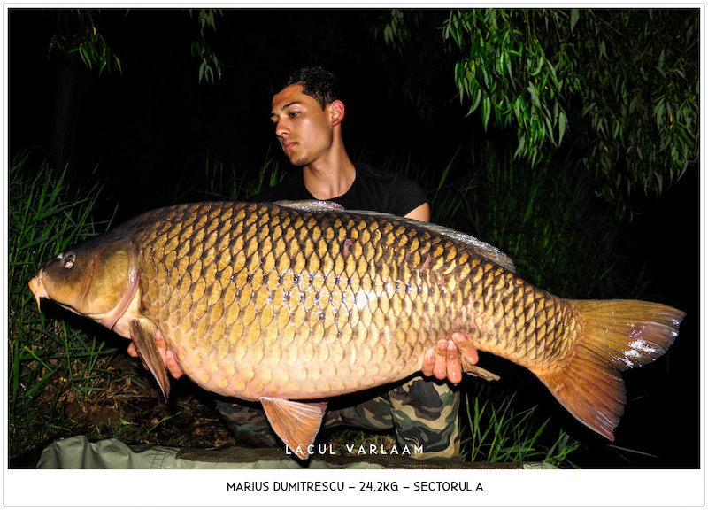 Marius Dumitrescu - 24,2kg, Sectorul A.jpg