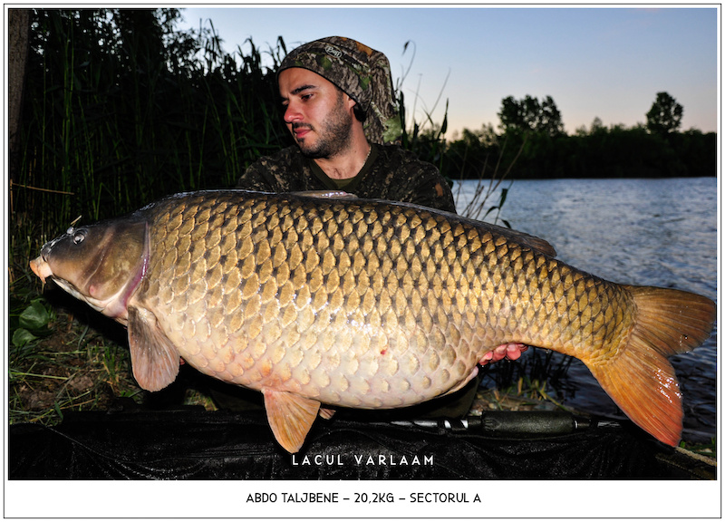 Abdo Taljbene - 20,2kg, Sectorul A.jpg