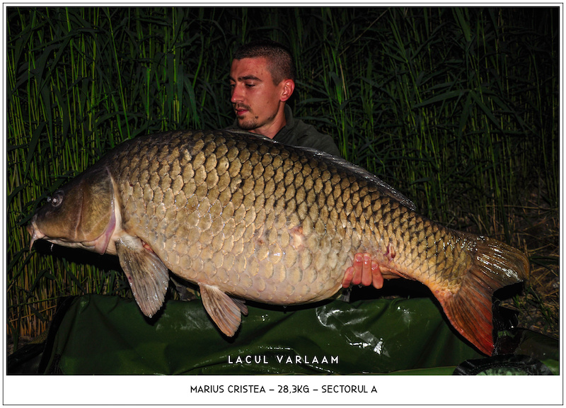 Marius Cristea - 28,3kg, Sectorul A.jpg