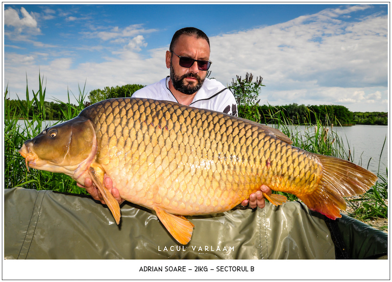 Adrian Soare - 21kg, Sectorul B.jpg