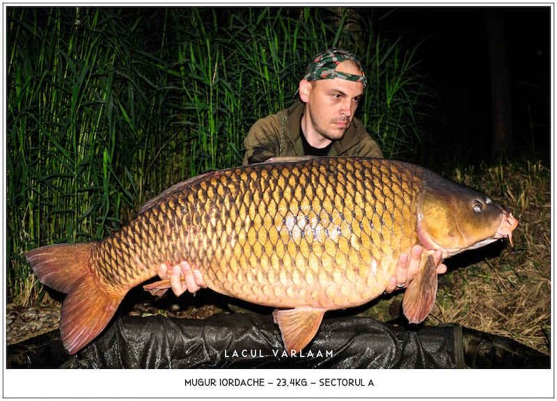 Mugur Iordache - 23,4kg, Sectorul A.jpg