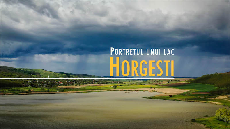 Portretul unui lac - Horgesti.jpg