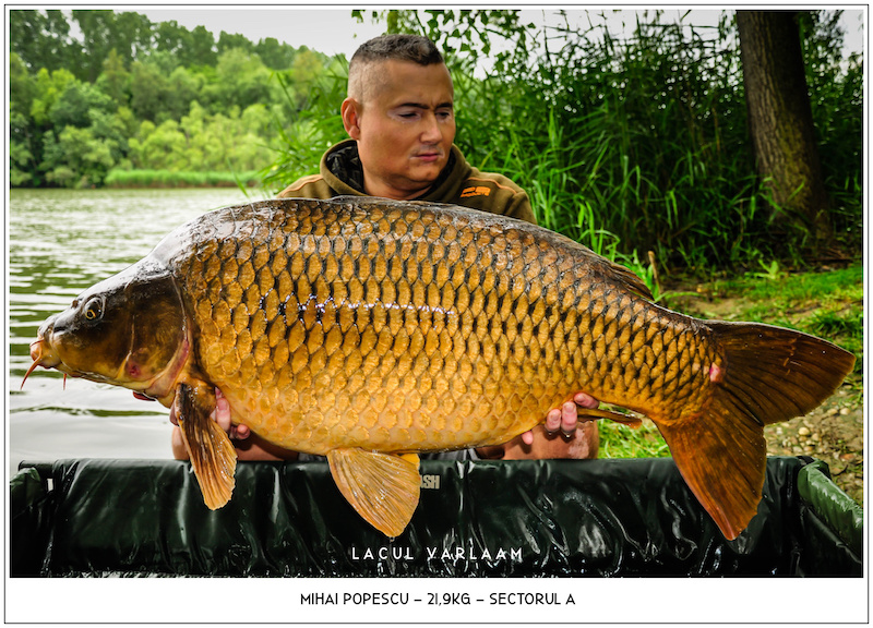 Mihai Popescu - 21,9kg, Sectorul A.jpg