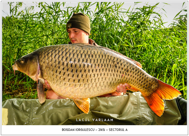 Bogdan Iorgulescu 21kg, Sectorul A.jpg