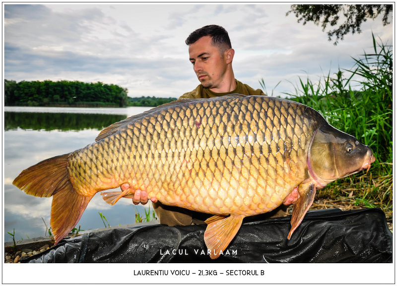 Laurentiu Voicu - 21,3kg, Sectorul B.jpg