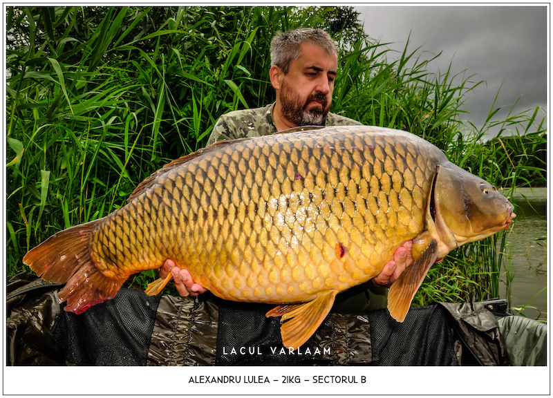 Alexandru Lulea - 21kg, Sectorul B.jpg