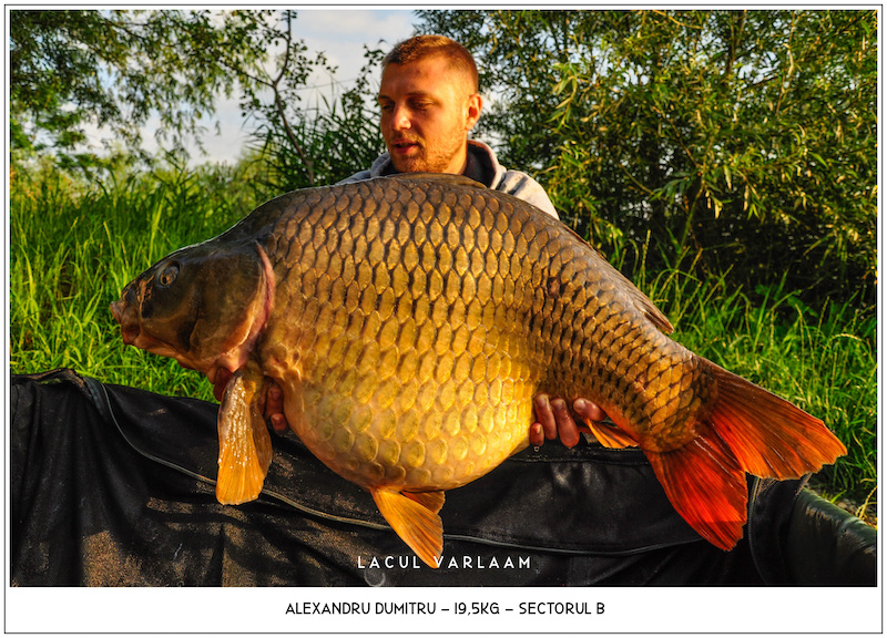 Alexandru Dumitru - 19,5kg, Sectorul B.jpg