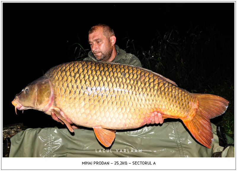 Mihai Prodan - 25,2kg, Sectorul A.jpg